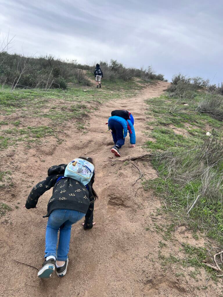 Kids hiking