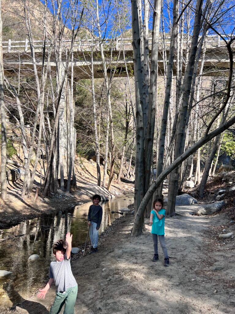 Kids hiking