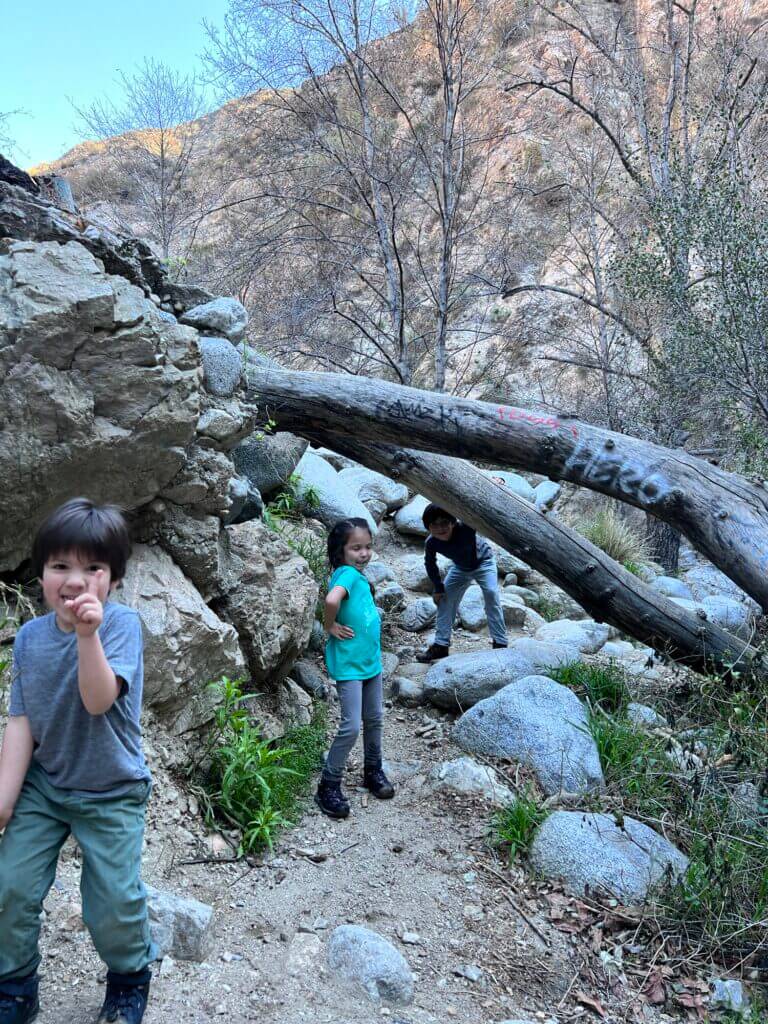 Kids hiking