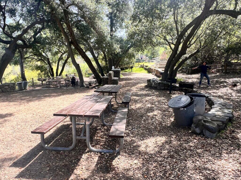Picnic table area
