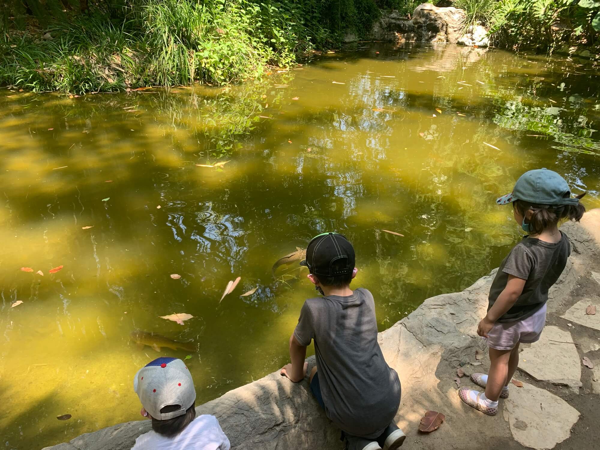 Kids and fish