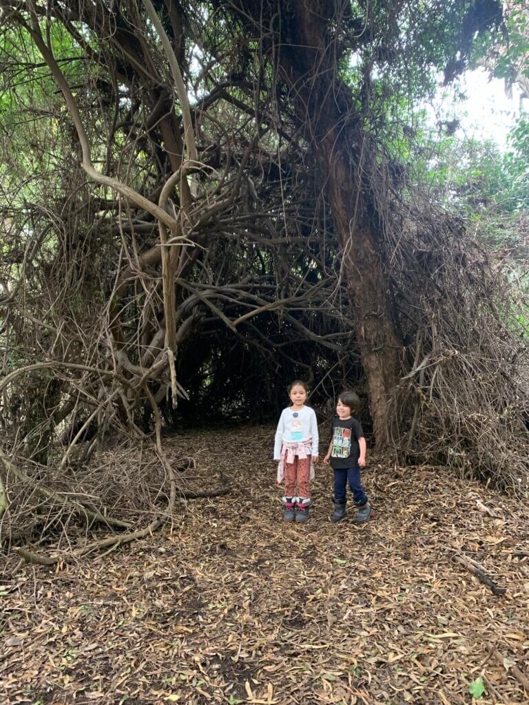 Kids next to tree